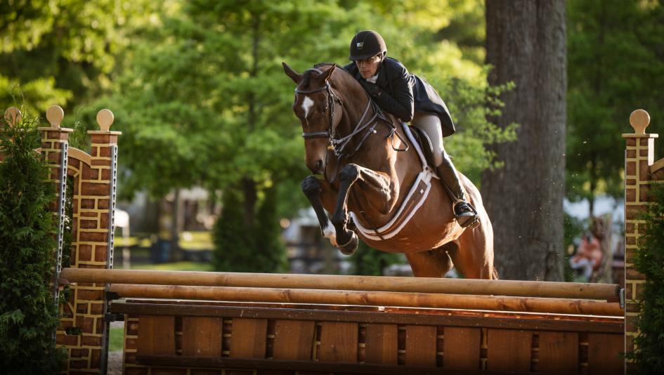A Thoroughbred Renaissance Takes Shape at Upperville